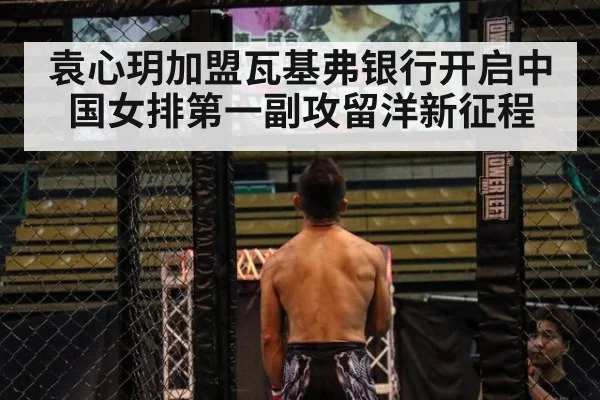 袁心玥加盟瓦基弗银行开启中国女排第一副攻留洋新征程